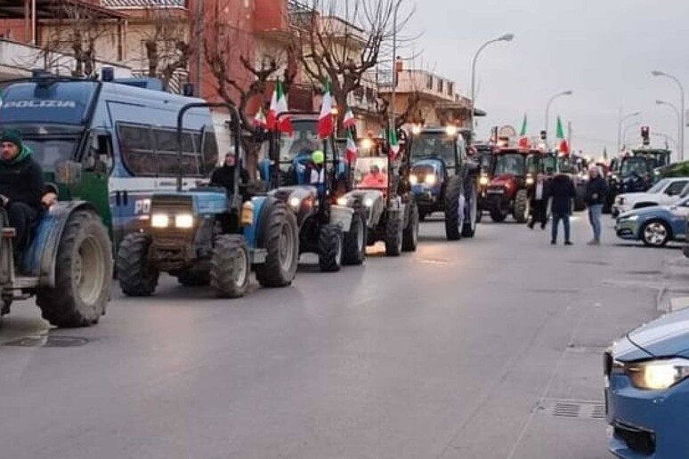 Protesta Trattori Dopo Notte In Piazza Marcia Verso Bari Ruvesi It