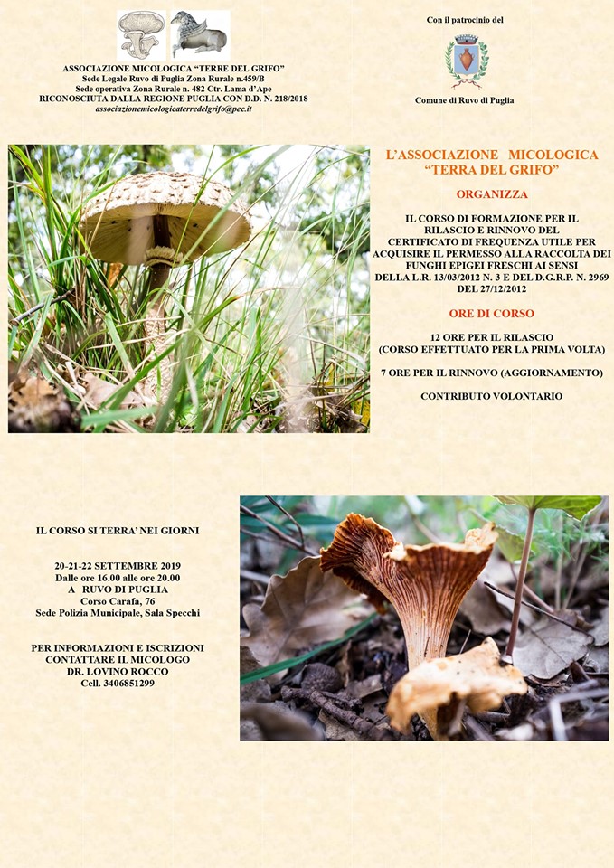 AL VIA IL CORSO PER APPASSIONATI E CERCATORI DI FUNGHI - Ruvesi.it